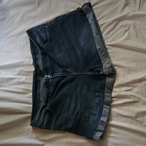 Lane Bryant denim shorts